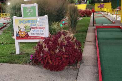 puttputt course1