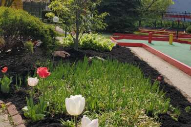 flowers course