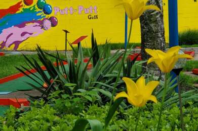 landscaping wall logo