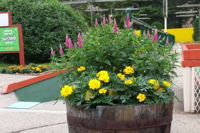 planter course puttputt