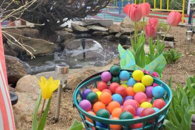 tulipsgolfballs course