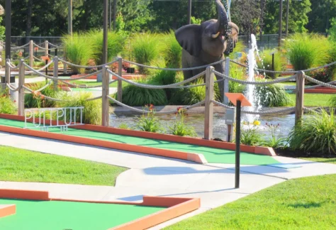 home header image crx